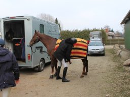img_0595_web